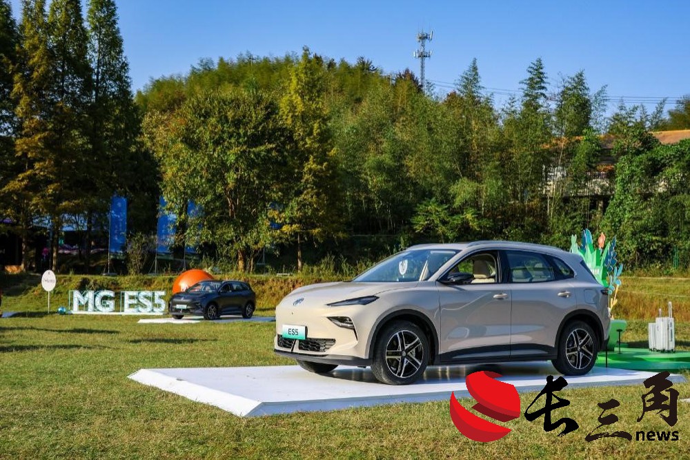 歐盟高筑“關稅圍墻” 中國車企多維度出海謀破局