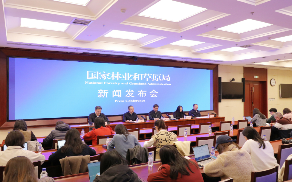 我國(guó)國(guó)土綠化取得新成效(圖1)