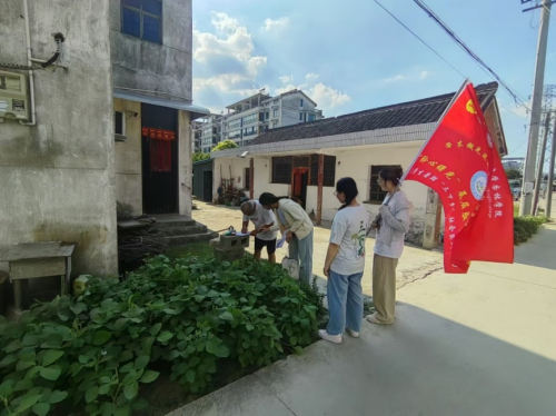 南通大學(xué)杏林學(xué)院：心燈照社區(qū)，共守安康路(圖4)