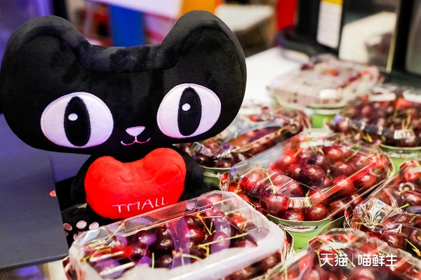 千呼萬(wàn)喚!繼新西蘭后,智利國(guó)家旗艦店上線,上百款智利商品即將進(jìn)駐天貓(圖2) 千呼萬(wàn)喚!繼新西蘭后,智利國(guó)家旗艦店上線,上百款智利商品即將進(jìn)駐天貓(圖2)