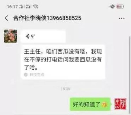 惠農(nóng)網(wǎng)電商牛人王巖：熱心助農(nóng)的“及時(shí)雨”(圖5)