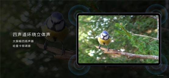華為首發(fā)MatePad全面屏智慧學(xué)習(xí)平板(圖7)
