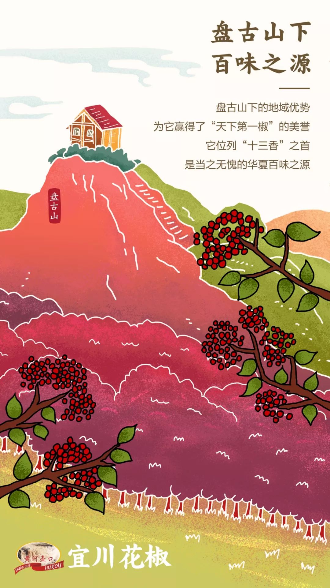 宜川大紅袍花椒熟了,滿山遍野的紅瑪瑙等你來摘!(圖4)