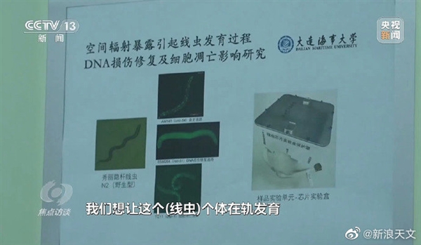 順利交付！神十五航天員帶回了20多公斤實(shí)驗(yàn)樣品：竟有一種蟲子(圖3)