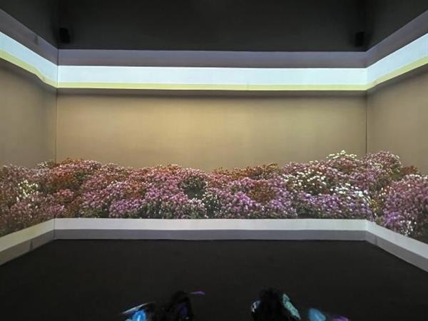 理光參展2023 GETshow  “花域密境”沉浸式體驗秀和零仰角新品RU336ST大受好評(圖2)